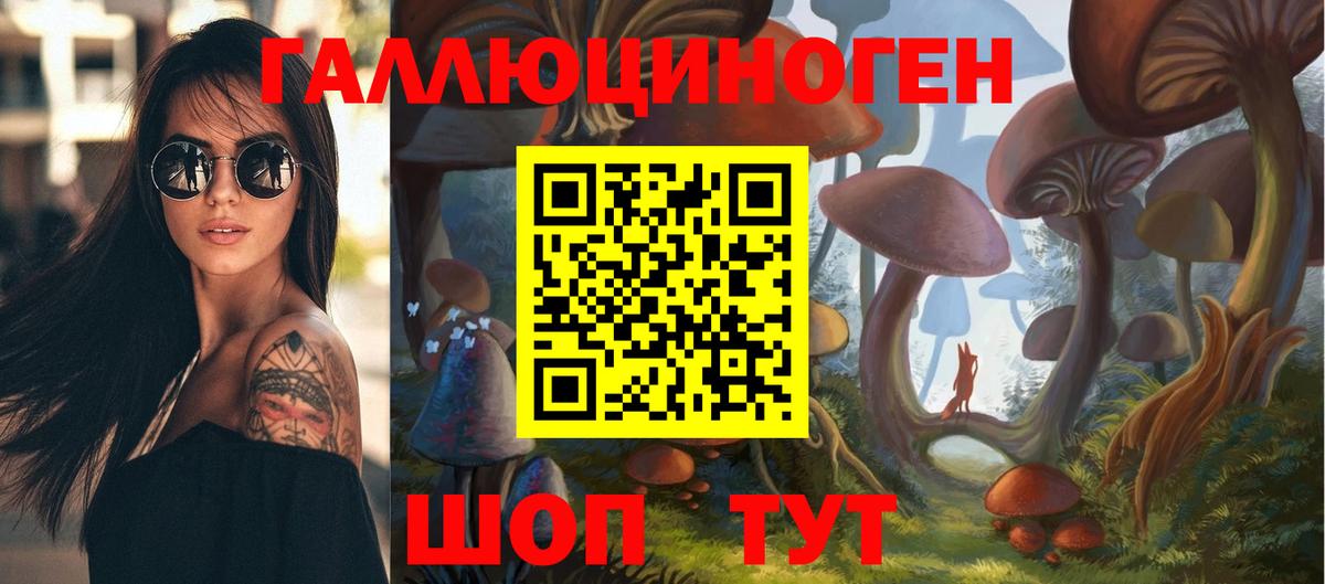 Псилоцибиновые грибы GOLDEN TEACHER  Псилоцибиновые грибы MAGIC MUSHROOMS  Вход с VPN  Благодарный 